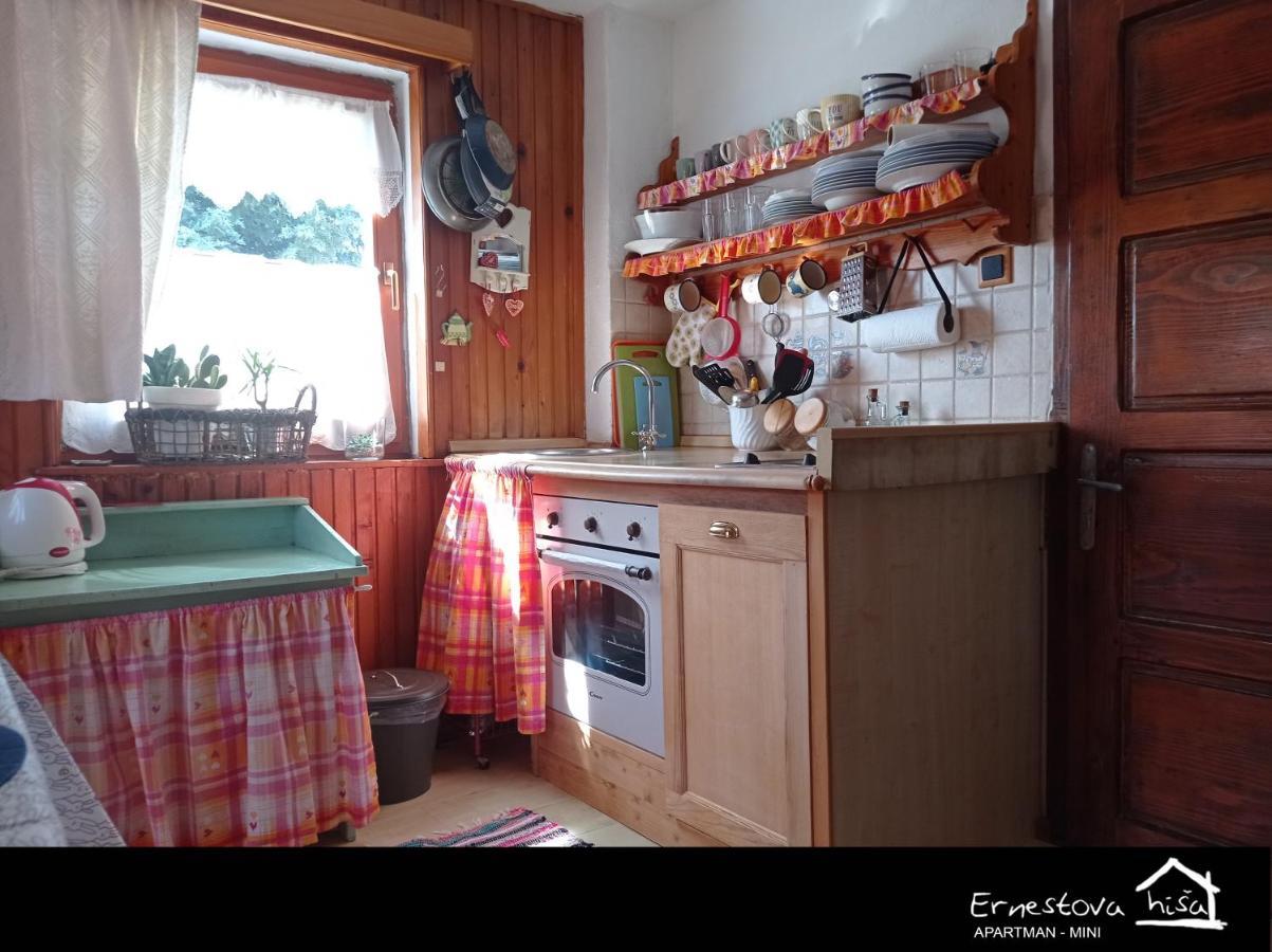 Apartment Ernestova Hisa Lokve Exterior photo