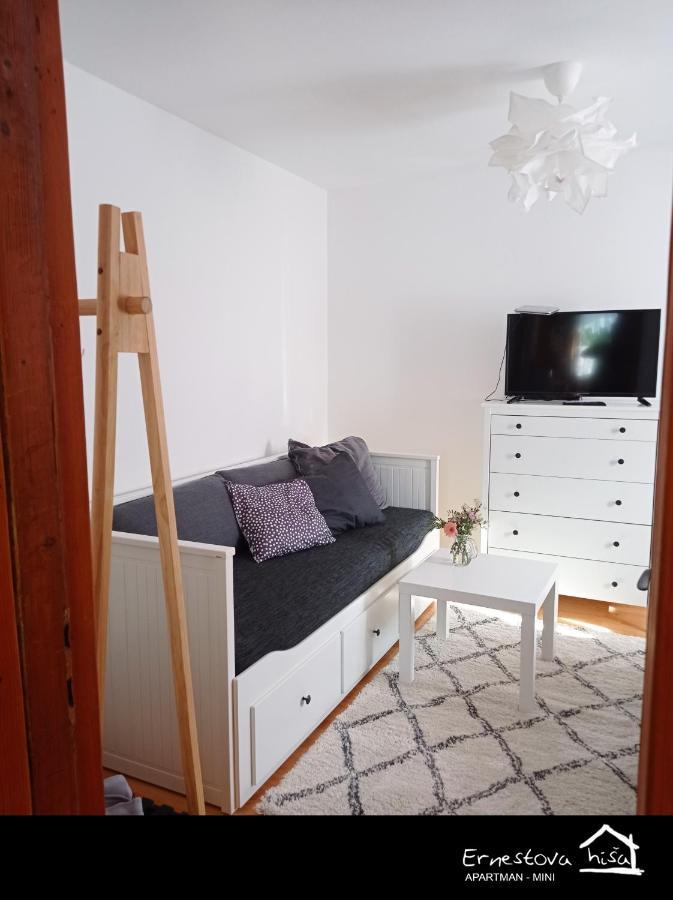 Apartment Ernestova Hisa Lokve Exterior photo