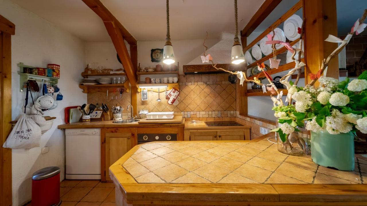 Apartment Ernestova Hisa Lokve Exterior photo